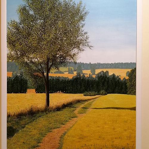 "CAMINO EN EL CAMPO". 2 "CAMINO EN EL CAMPO". - Imagen 2