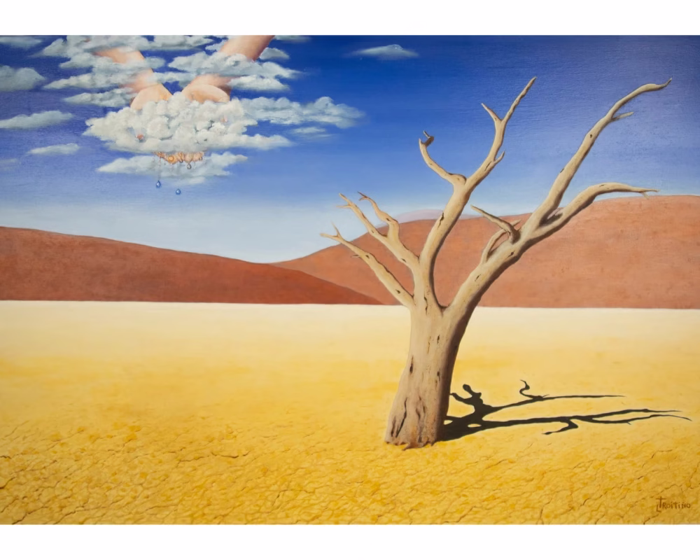 ARIDEZ estandar webp 2